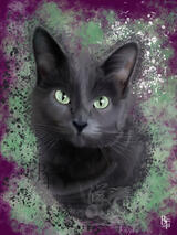 -Olive- Custom Digital Cat Portrait