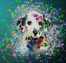 Cute Paint Mess DalmatianCustom Digital Dog Portrait