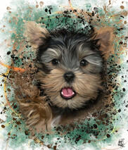 Yorkshire Terrier Pup Custom Digital Dog Portrait