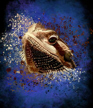 Bearded Dragon Custom Digital reptile Pet Portrait