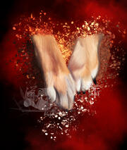 Paw Custom Digital Dog Portrait