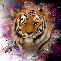 Year of the Tiger 2022 Animal Portrait Chinese New Year