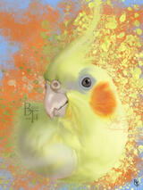 - Tiki - Commission Memorial Bird Pet portrait