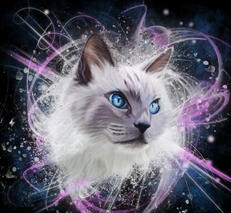 Elegance- Custom digital cat portrait