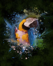 - Cheyenne Snake Discovery- Custom Digital Bird Cheyenne Snake Discovery blue gold macaw Pet Portrait Rescue