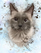 - Echo - Custom Commission Digital Cat Portrait