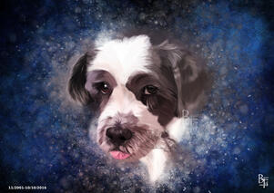 - Buddy- Custom Commission Memorial Digital Dog Portrait
