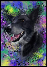 - Raka - Custom Commission Digital Dog Portrait