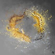 - Oxi & Tucsi - Custom Commission Digital Leopard Gecko Portrait