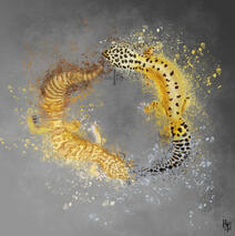 - Oxi &amp; Tucsi - Custom Commission Digital Leopard Gecko Portrait