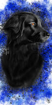 - Bailey - Custom Commission Digital Dog Portrait