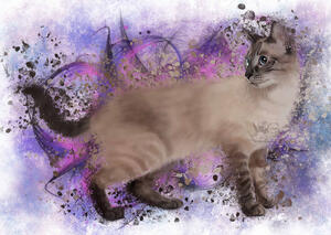 Custom Digital Cat Portrait