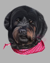 - Cole - Custom Commission Digital Dog Portrait