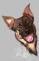 - Nika -Custom Commission Digital Dog Portrait German Shepherd