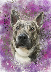 - Ringo - Custom Commission Digital Dog Portrait