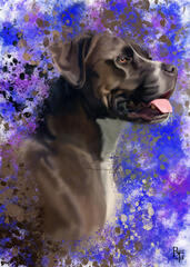 - Jax - Custom Commission Digital Dog Portrait