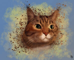 - Kameo - Custom Commission Memorial Digital Cat Portrait